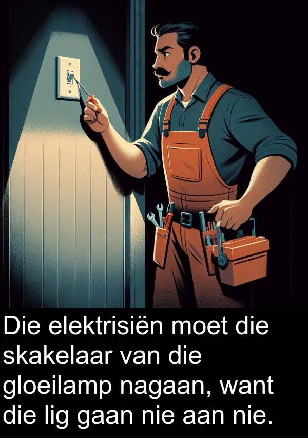 skakelaar: Die elektrisiën moet die skakelaar van die gloeilamp nagaan, want die lig gaan nie aan nie.