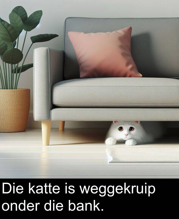 weggekruip: Die katte is weggekruip onder die bank.