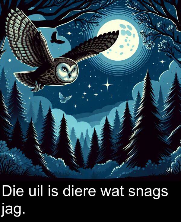 uil: Die uil is diere wat snags jag.
