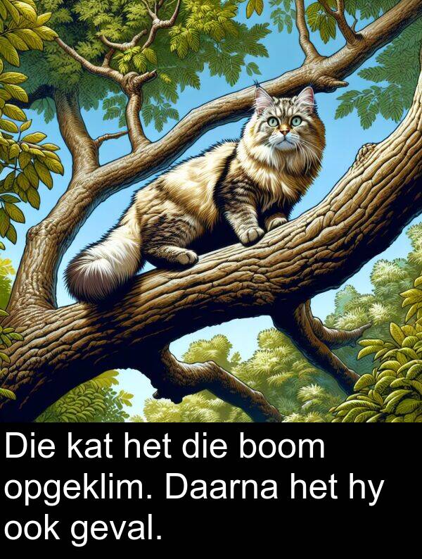 geval: Die kat het die boom opgeklim. Daarna het hy ook geval.