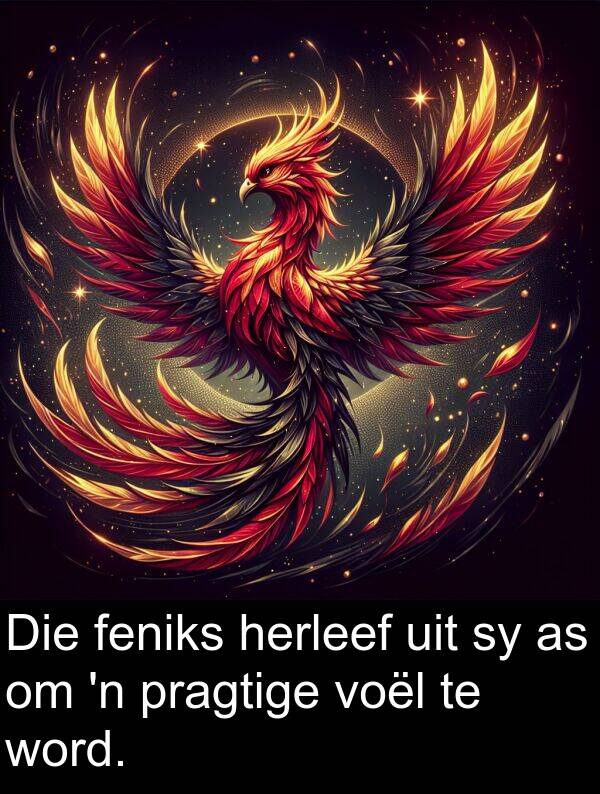 herleef: Die feniks herleef uit sy as om 'n pragtige voël te word.