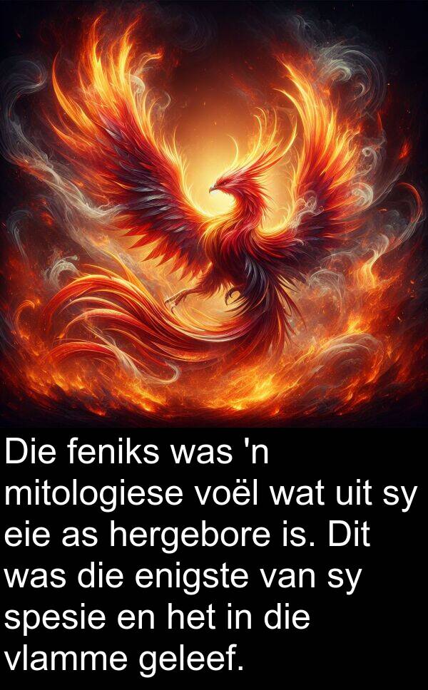 geleef: Die feniks was 'n mitologiese voël wat uit sy eie as hergebore is. Dit was die enigste van sy spesie en het in die vlamme geleef.