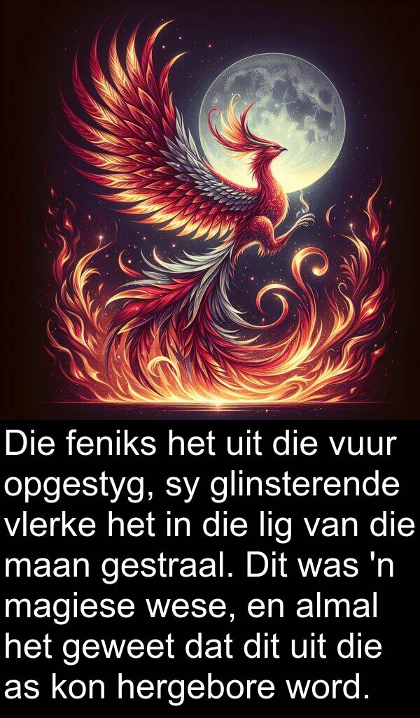 wese: Die feniks het uit die vuur opgestyg, sy glinsterende vlerke het in die lig van die maan gestraal. Dit was 'n magiese wese, en almal het geweet dat dit uit die as kon hergebore word.