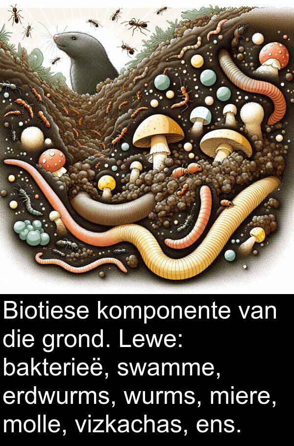 ens: Biotiese komponente van die grond. Lewe: bakterieë, swamme, erdwurms, wurms, miere, molle, vizkachas, ens.