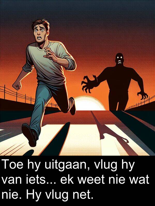 uitgaan: Toe hy uitgaan, vlug hy van iets... ek weet nie wat nie. Hy vlug net.