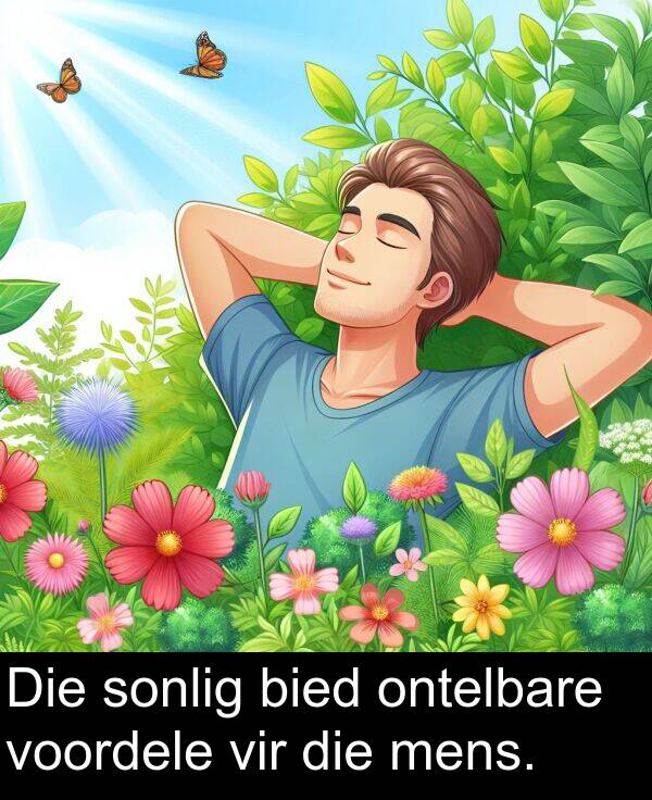 mens: Die sonlig bied ontelbare voordele vir die mens.