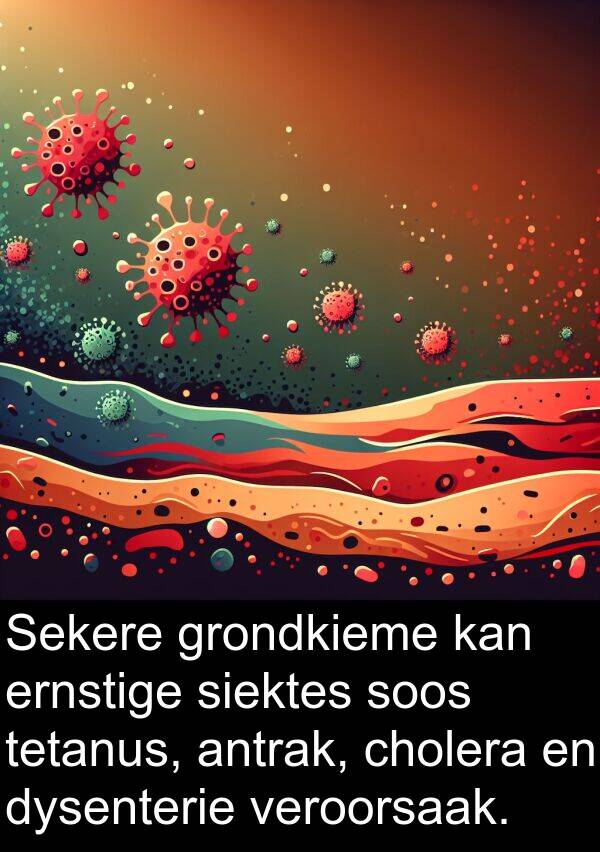 siektes: Sekere grondkieme kan ernstige siektes soos tetanus, antrak, cholera en dysenterie veroorsaak.