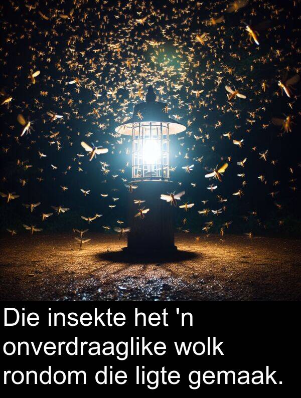 onverdraaglike: Die insekte het 'n onverdraaglike wolk rondom die ligte gemaak.