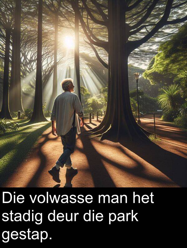 deur: Die volwasse man het stadig deur die park gestap.