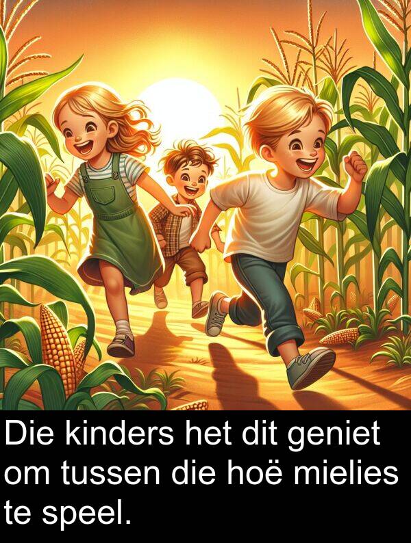 hoë: Die kinders het dit geniet om tussen die hoë mielies te speel.