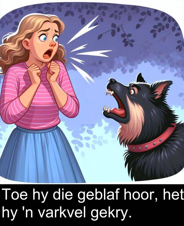gekry: Toe hy die geblaf hoor, het hy 'n varkvel gekry.