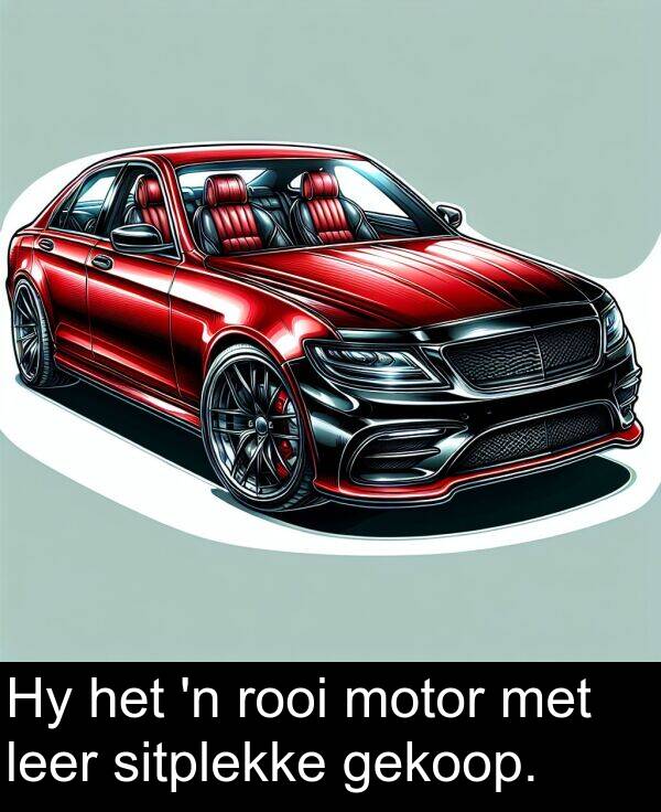 rooi: Hy het 'n rooi motor met leer sitplekke gekoop.