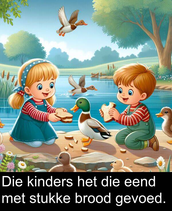 eend: Die kinders het die eend met stukke brood gevoed.