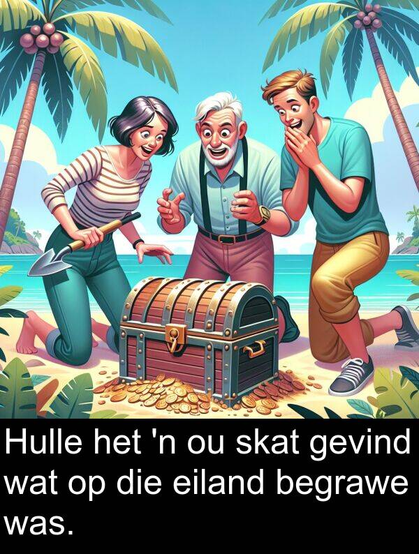 eiland: Hulle het 'n ou skat gevind wat op die eiland begrawe was.