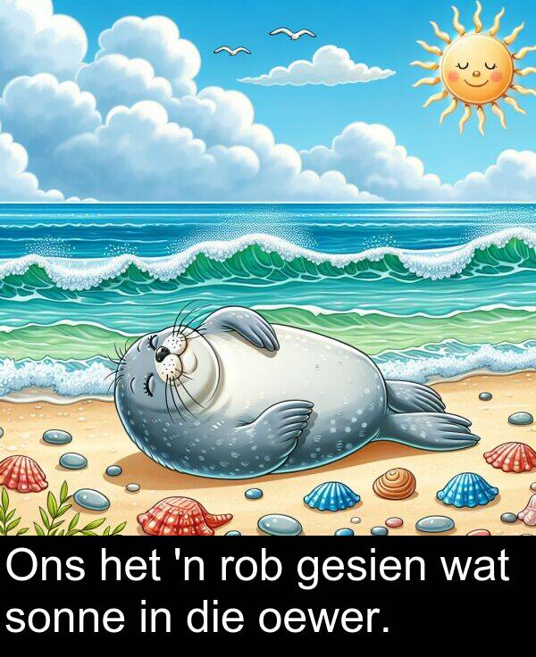 wat: Ons het 'n rob gesien wat sonne in die oewer.