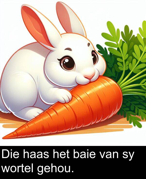 haas: Die haas het baie van sy wortel gehou.