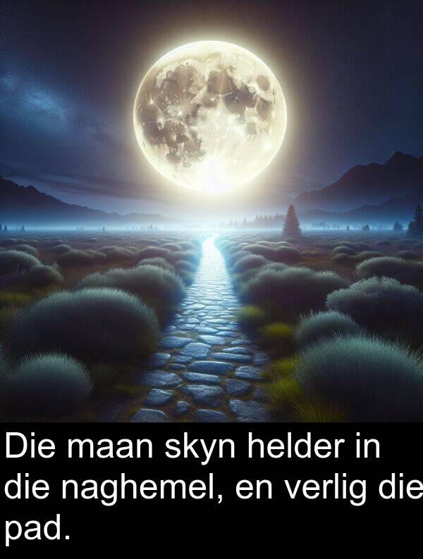 maan: Die maan skyn helder in die naghemel, en verlig die pad.