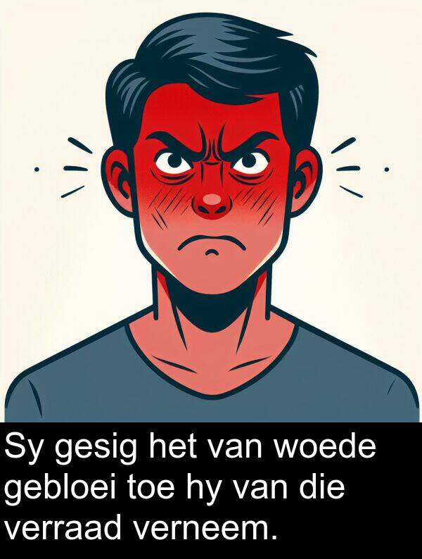 gebloei: Sy gesig het van woede gebloei toe hy van die verraad verneem.