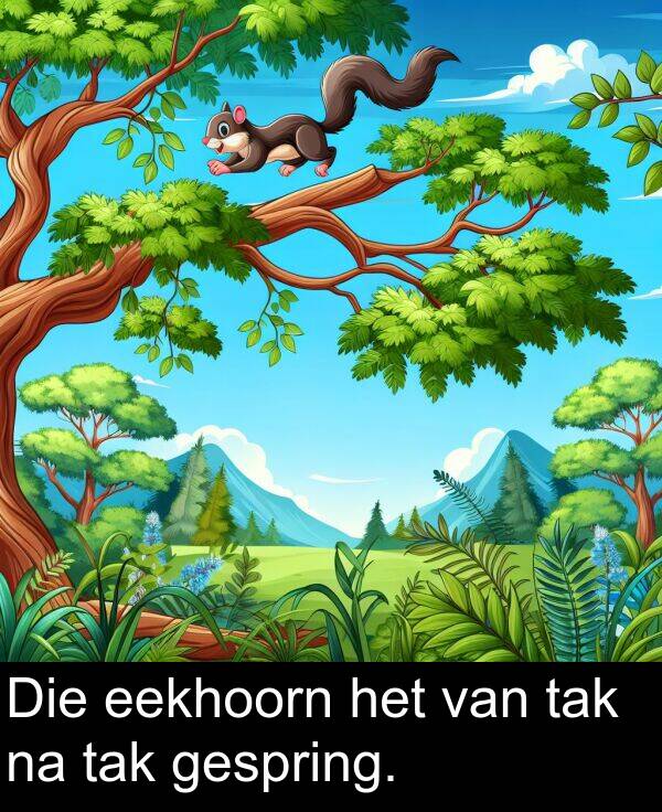 tak: Die eekhoorn het van tak na tak gespring.