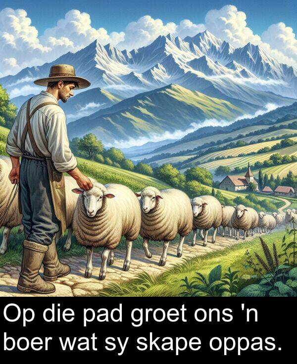 wat: Op die pad groet ons 'n boer wat sy skape oppas.