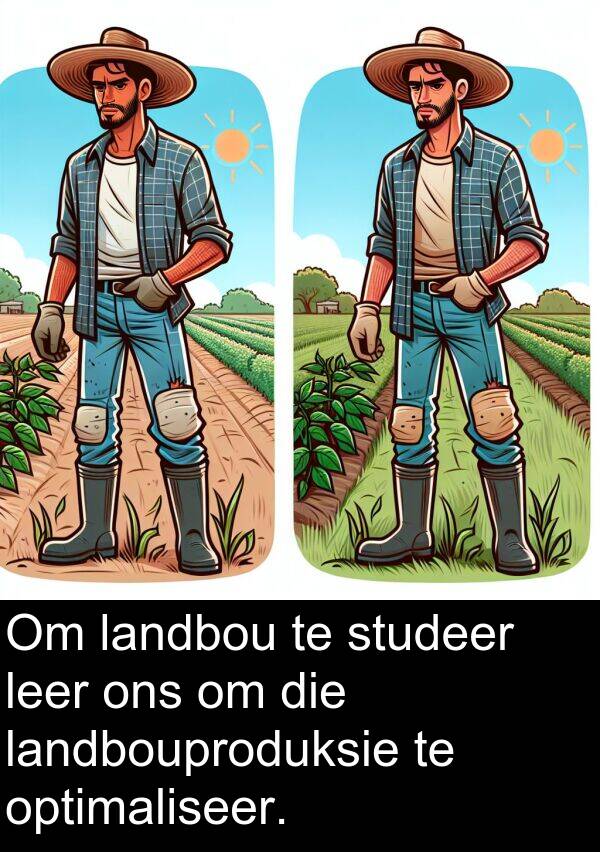 landbouproduksie: Om landbou te studeer leer ons om die landbouproduksie te optimaliseer.