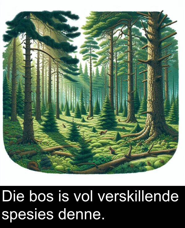 bos: Die bos is vol verskillende spesies denne.