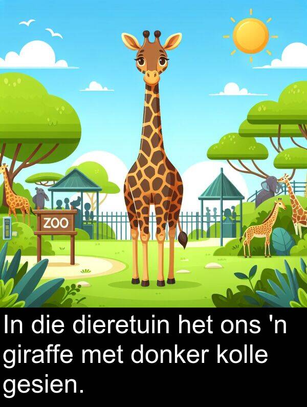 donker: In die dieretuin het ons 'n giraffe met donker kolle gesien.
