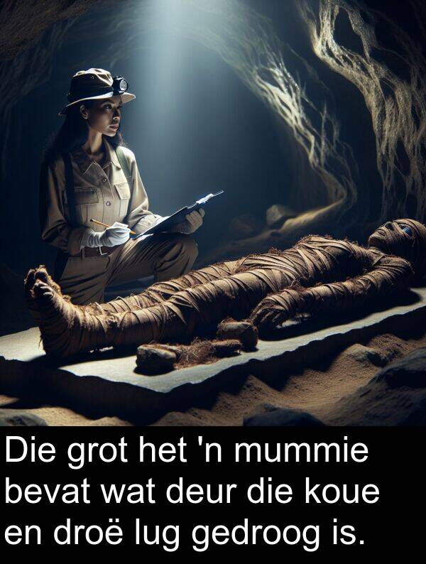 droë: Die grot het 'n mummie bevat wat deur die koue en droë lug gedroog is.