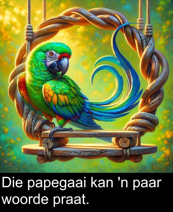 paar: Die papegaai kan 'n paar woorde praat.