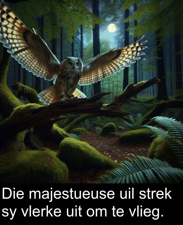 uil: Die majestueuse uil strek sy vlerke uit om te vlieg.