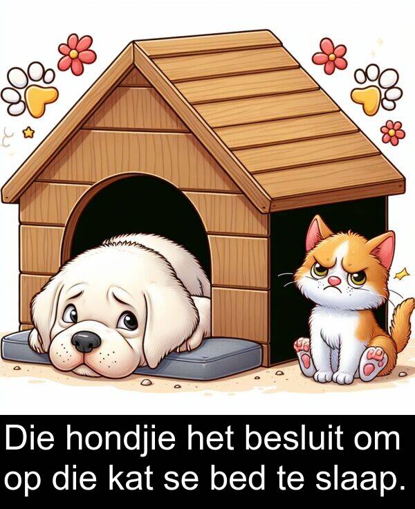 hondjie: Die hondjie het besluit om op die kat se bed te slaap.
