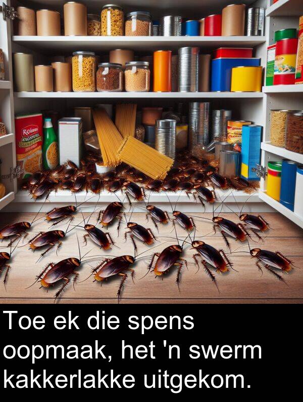uitgekom: Toe ek die spens oopmaak, het 'n swerm kakkerlakke uitgekom.