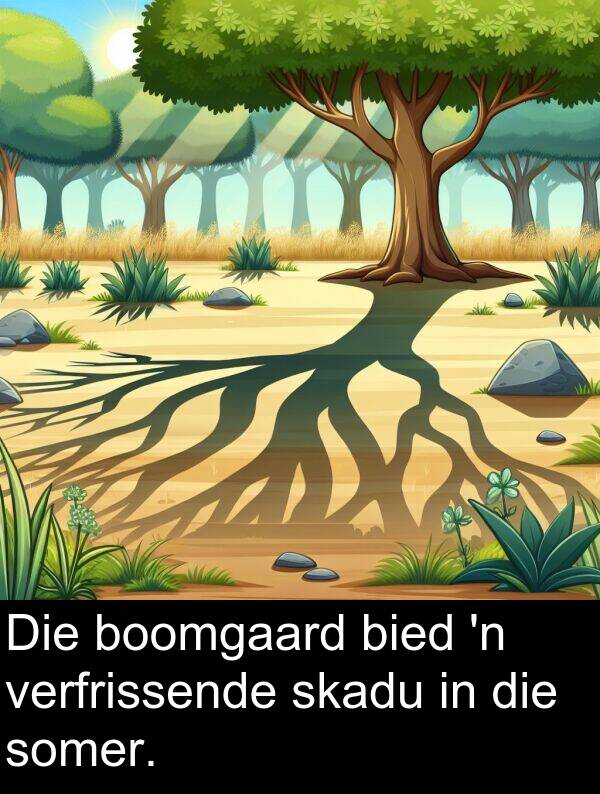skadu: Die boomgaard bied 'n verfrissende skadu in die somer.