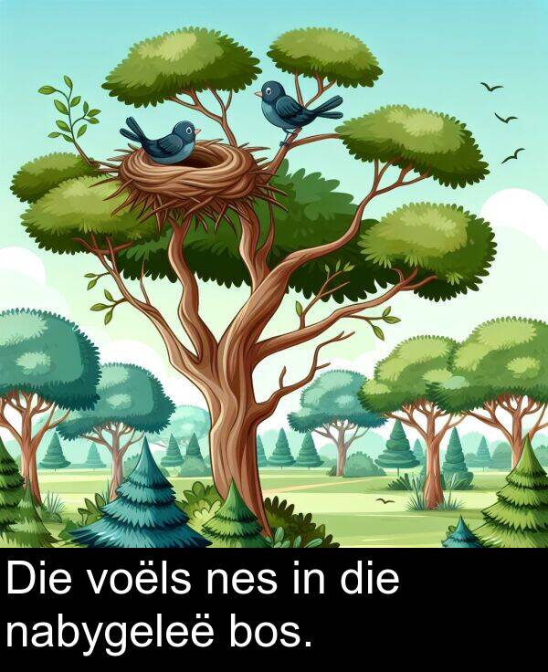 die: Die voëls nes in die nabygeleë bos.