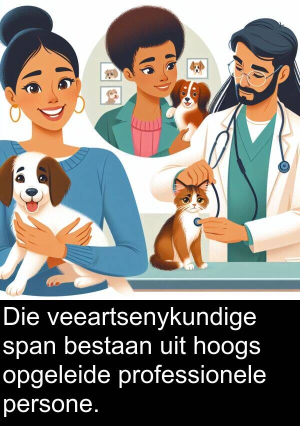hoogs: Die veeartsenykundige span bestaan uit hoogs opgeleide professionele persone.