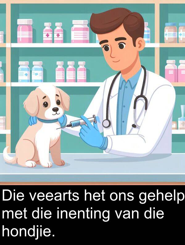 hondjie: Die veearts het ons gehelp met die inenting van die hondjie.