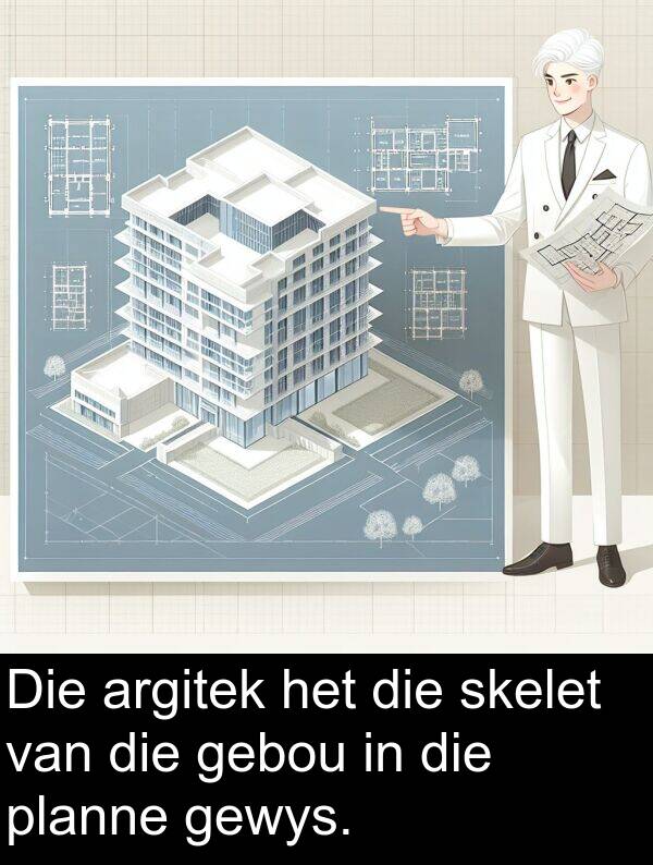 skelet: Die argitek het die skelet van die gebou in die planne gewys.