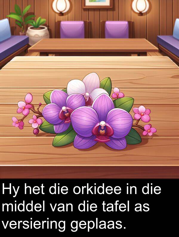 middel: Hy het die orkidee in die middel van die tafel as versiering geplaas.