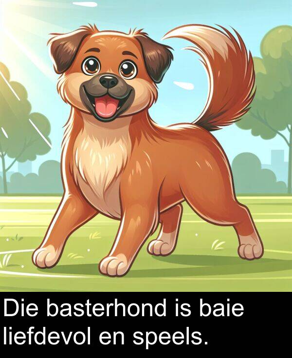 basterhond: Die basterhond is baie liefdevol en speels.