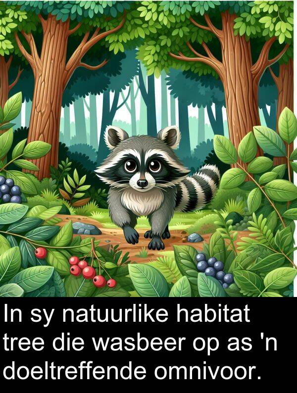 habitat: In sy natuurlike habitat tree die wasbeer op as 'n doeltreffende omnivoor.