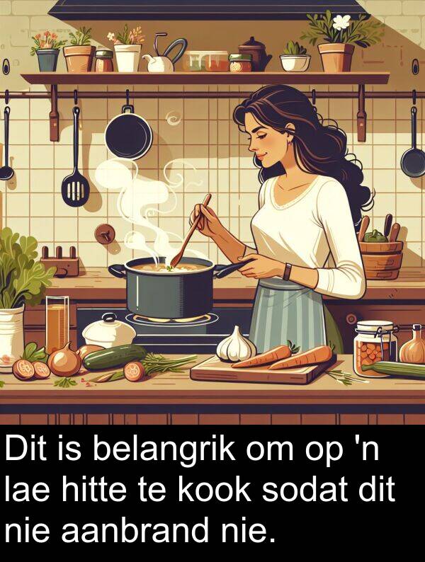 hitte: Dit is belangrik om op 'n lae hitte te kook sodat dit nie aanbrand nie.