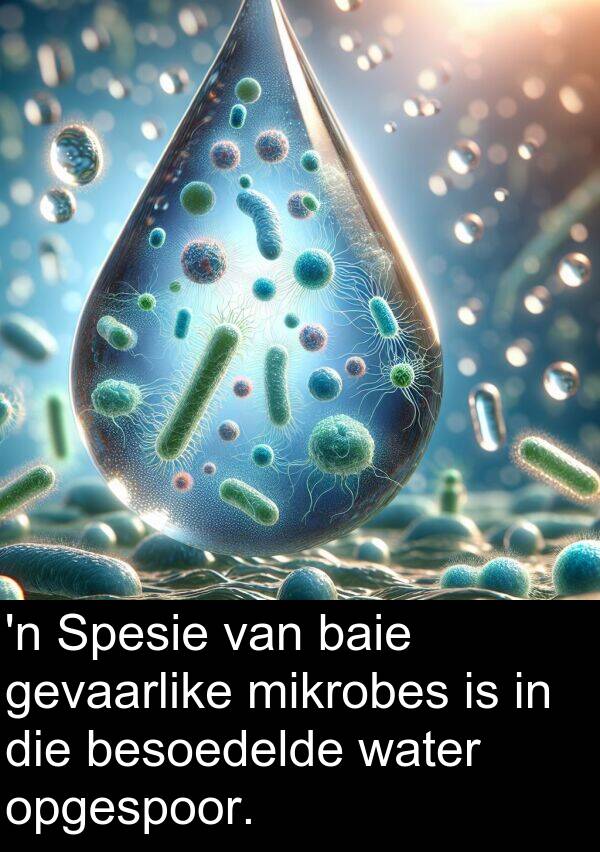 mikrobes: 'n Spesie van baie gevaarlike mikrobes is in die besoedelde water opgespoor.