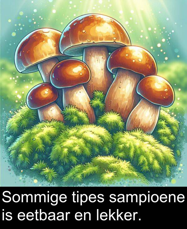 lekker: Sommige tipes sampioene is eetbaar en lekker.