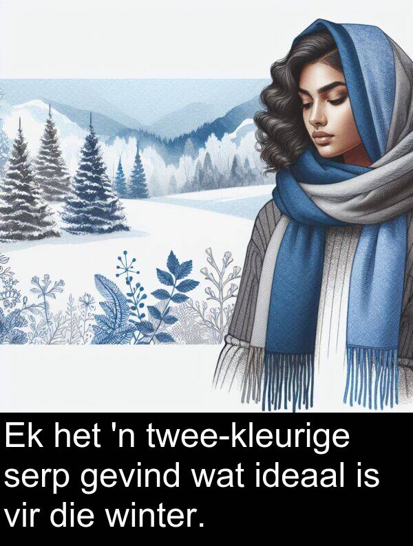 ideaal: Ek het 'n twee-kleurige serp gevind wat ideaal is vir die winter.