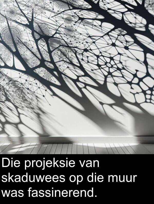 skaduwees: Die projeksie van skaduwees op die muur was fassinerend.