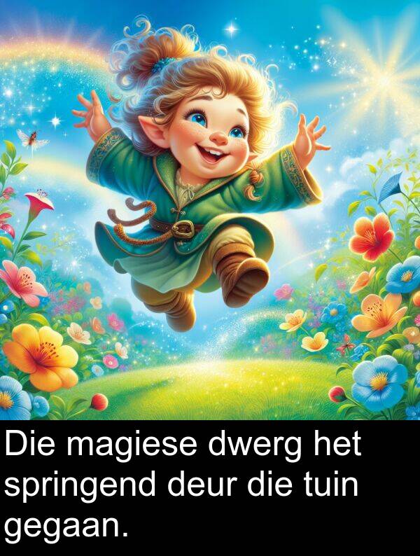 gegaan: Die magiese dwerg het springend deur die tuin gegaan.