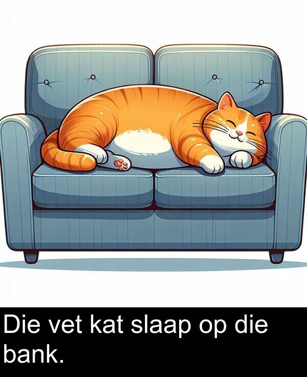 die: Die vet kat slaap op die bank.