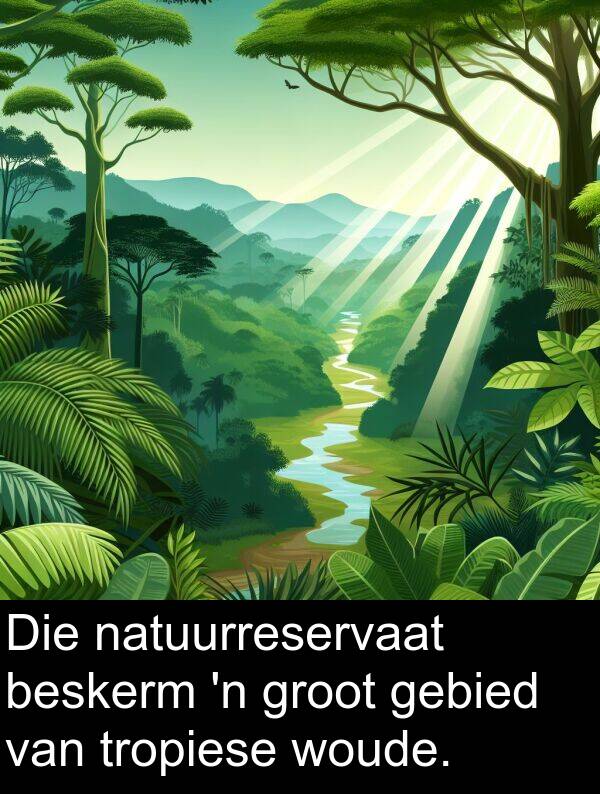 gebied: Die natuurreservaat beskerm 'n groot gebied van tropiese woude.