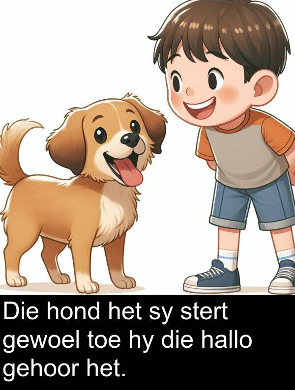 gehoor: Die hond het sy stert gewoel toe hy die hallo gehoor het.
