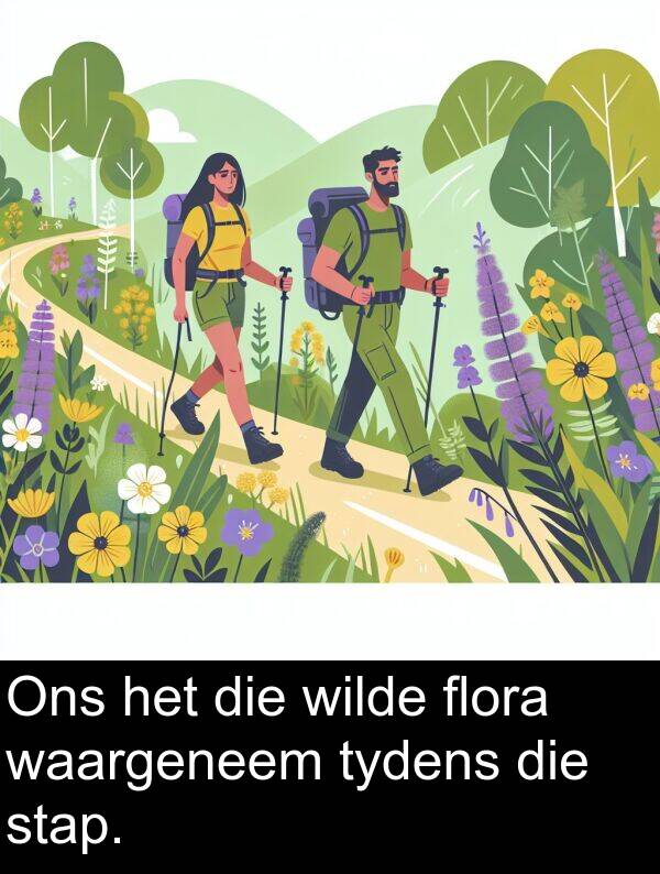 wilde: Ons het die wilde flora waargeneem tydens die stap.